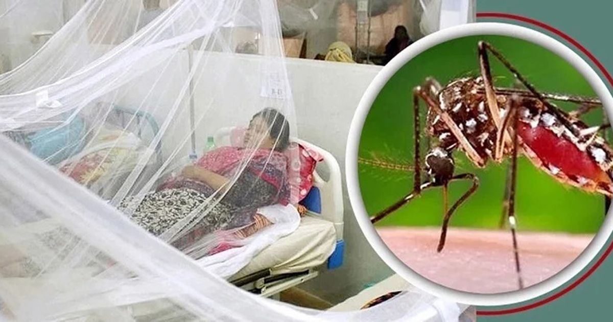 ডেঙ্গুতে আরও দুই জনের মৃত্যু, আক্রান্ত ৩২১