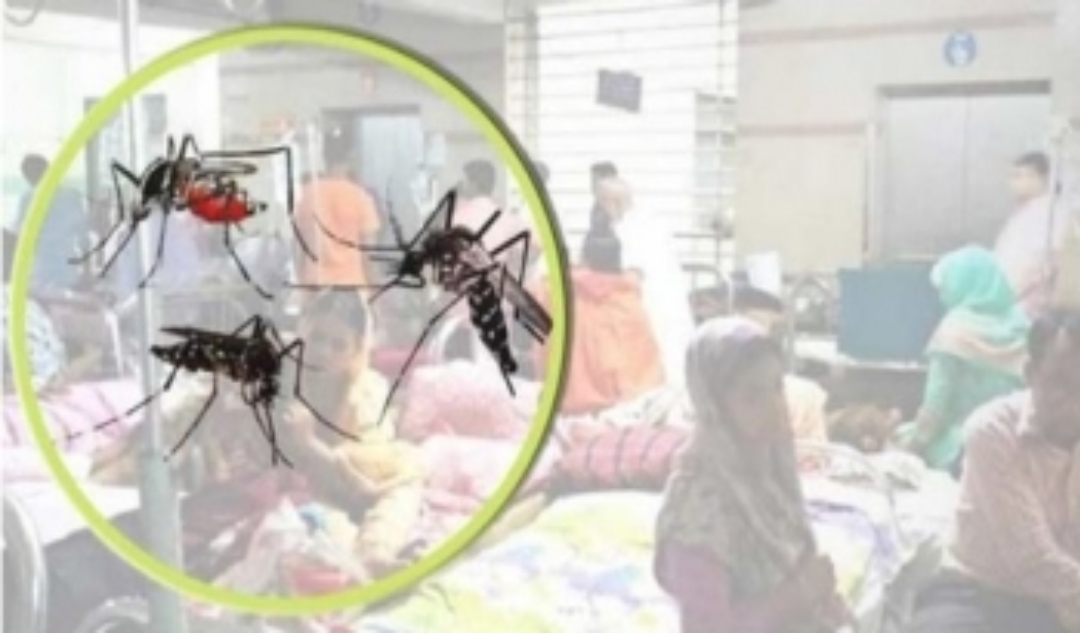 গত ২৪ ঘন্টায় ডেঙ্গু আক্রান্ত হয়ে আরও ৪ জনের মৃত্যু হয়েছে