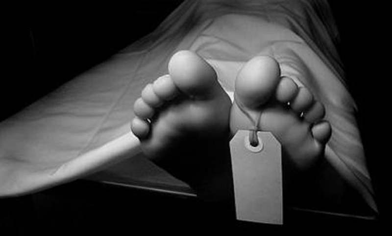 রাজবাড়ীতে স্ত্রীর সঙ্গে অভিমান করে কীটনাশক পানে স্বামীর ‘আত্মহত্যা’